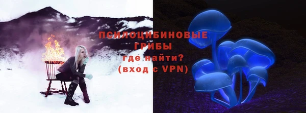 мескалин Богородицк