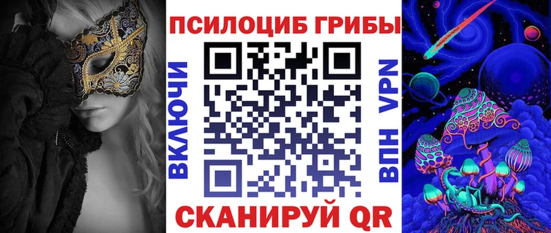 Купить где  Суворов  Галлюциногенные грибы Cubensis 